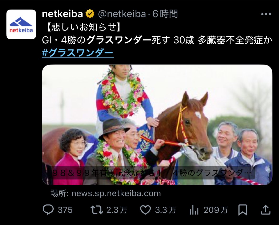 1999年　有馬記念　グラスワンダー　レプリカゼッケン 1999年 有馬記念 グラスワンダー レプリカゼッケン default.jpg