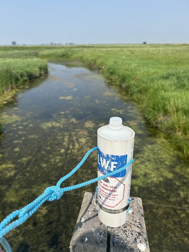 srwd_mb's tweet photo. Busy week at Souris River Watershed! 🌳 Built a bridge, set up clean cattle water, mowed trails & collected samples—all thanks to teamwork & community. Read details & see photos on FB & IG! #SRWD #Teamwork #CommunitySupport 🏞️ https://t.co/0cQX6r75fW