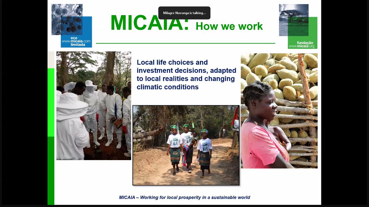 I Learner I Trainer I Forex trader I Blogger (@angiethelearner) on Twitter photo 🌍 Africa loses 2–5% GDP yearly to climate impacts, yet adaptation metrics miss our real stories.
🌱 Today’s #RoadToCOP30 🇰🇪🇧🇷 webinar proved locally led action must guide the Global Goal on Adaptation.🌟 See you at #ECHAfrica25 Nairobi! 🔗 bit.ly/3TGUuDE <a href="/arin_africa/">Africa Research & Impact Network</a> 🌍 Africa loses 2–5% GDP yearly to climate impacts, yet adaptation metrics miss our real stories.
🌱 Today’s #RoadToCOP30 🇰🇪🇧🇷 webinar proved locally led action must guide the Global Goal on Adaptation.🌟 See you at #ECHAfrica25 Nairobi! 🔗 bit.ly/3TGUuDE <a href="/arin_africa/">Africa Research & Impact Network</a>