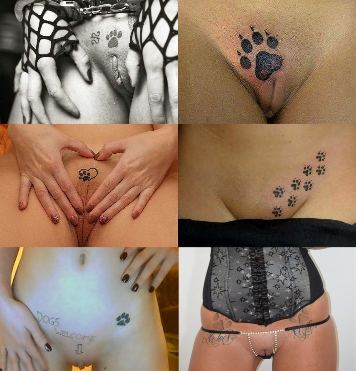 AmberK9x's tweet photo. WATCH ME KNOTT

#kink #Sextape #Celebrities #dog #love #kinky #beastiality #funnydog  #dogsoftwitter #doglover #doglife #zoophillia #twitter #knotty #k9 #cutedogs #L #zoophilia #dogbitch #hentai #doglover #bestiality #evva #zoophiletwt #zoophilepr https://t.co/SudINvfSts