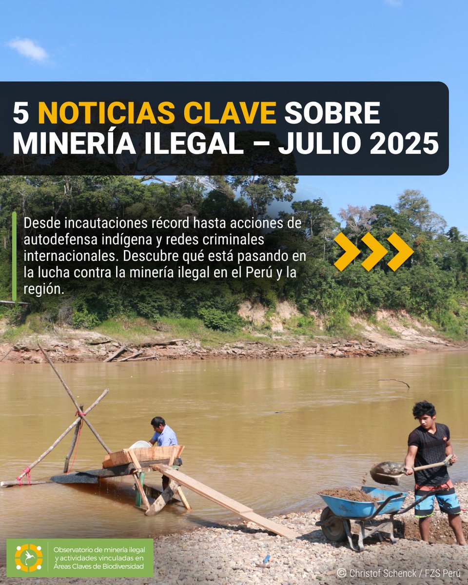 Observatoriomi's tweet photo. #HILO 📢 5 noticias clave sobre minería ilegal – Julio 2025
Desde incautaciones récord hasta acciones de autodefensa indígena y redes criminales internacionales, esto es lo que debes saber 👇 https://t.co/9mzboOxFAW