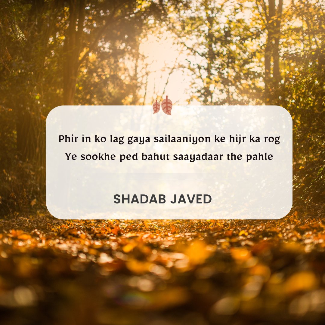 काव्यरस tweet media