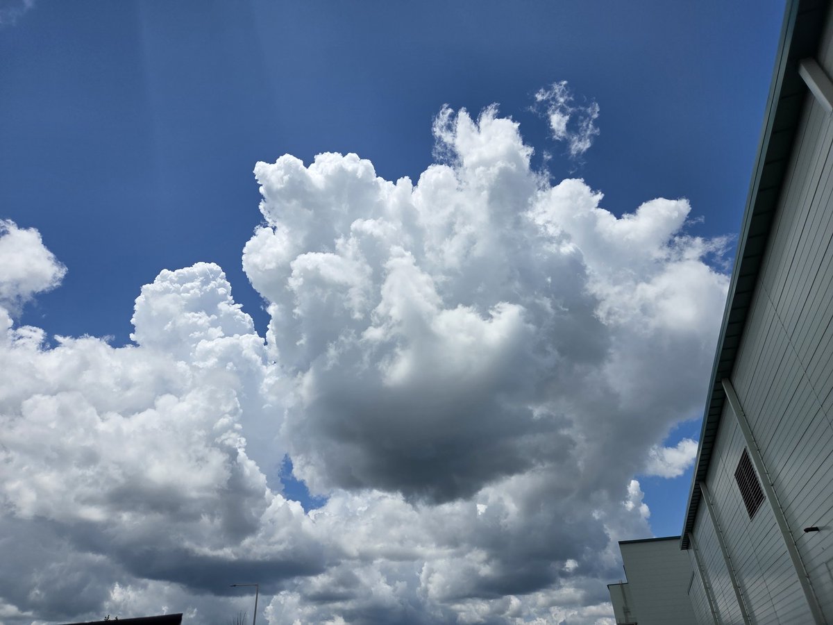 "언제 와보겠어~"
라고 여행느낌으로 온 미국이 
유배 느낌으로 바뀐지 2달째...
땅은 미국 
업체는 한국
내 상사는 독일
내 부하는 페루
이게 잭슨형이 말한 위아더 월드인가