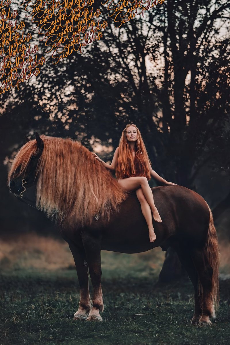 SeidrGoddess's tweet photo. How she is spending her day today ~

#FreyjaFriday
#FreyjasDay https://t.co/16SwCSui2A