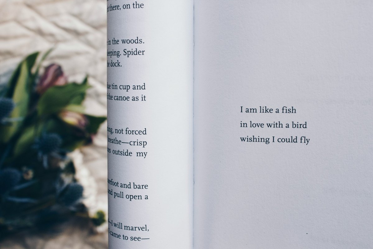 Termos2k's tweet image. She’s poetry in a world still learning the alphabet