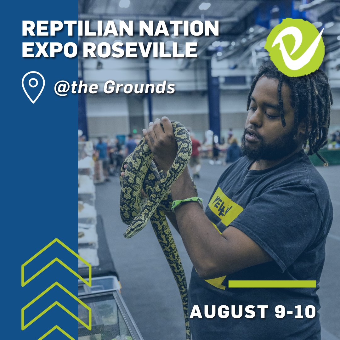 PlacerTourism's tweet photo. The Reptilian Nation Expo returns to the Roebbelen Center at At The Grounds this weekend!

Get ready to meet 1000s of reptiles, amphibians, arachnids and other invertebrates

📆 August 9-10
📍 Roebbelen Center, @AtTheGrounds

https://t.co/MLEiwxG0kX https://t.co/svlzGrP5aG