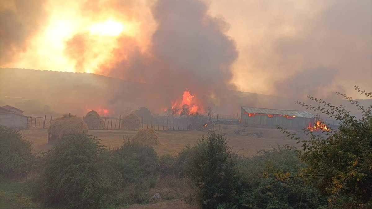 MeteoÁvila tweet media