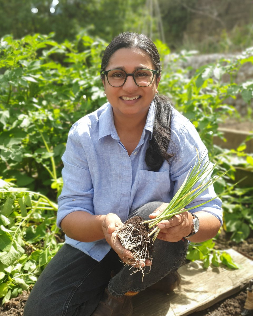 How's your veg plot coming along? Are you overrun with produce or has it been a bit of a mixed bag so far? Let's compare notes with Rekha tonight at 8pm on BBC Two 🙂
#GardenersWorld #Gardening #AllotmentLife #GrowYourOwn
