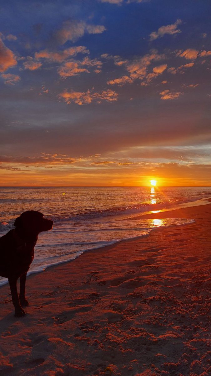 Dida_ti's tweet photo. @AlteaFerrari Rilassati e dolcissimi amici del cuore😘💞🐾💖🐾💞😘
Buona serata carissima Silvia e felice weekend di gioia e dolci pensieri felici per te con un abbraccio grande grande 💞💞😘😘❤️⚘️🍀💫💫 https://t.co/mwPrtOqkvO