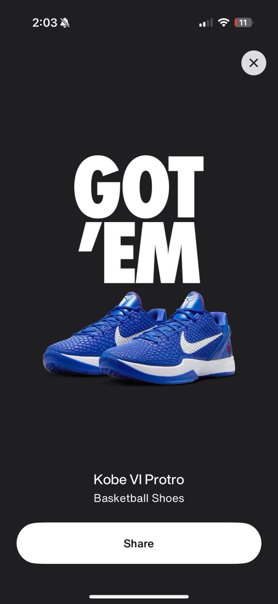 KicksFinder tweet media