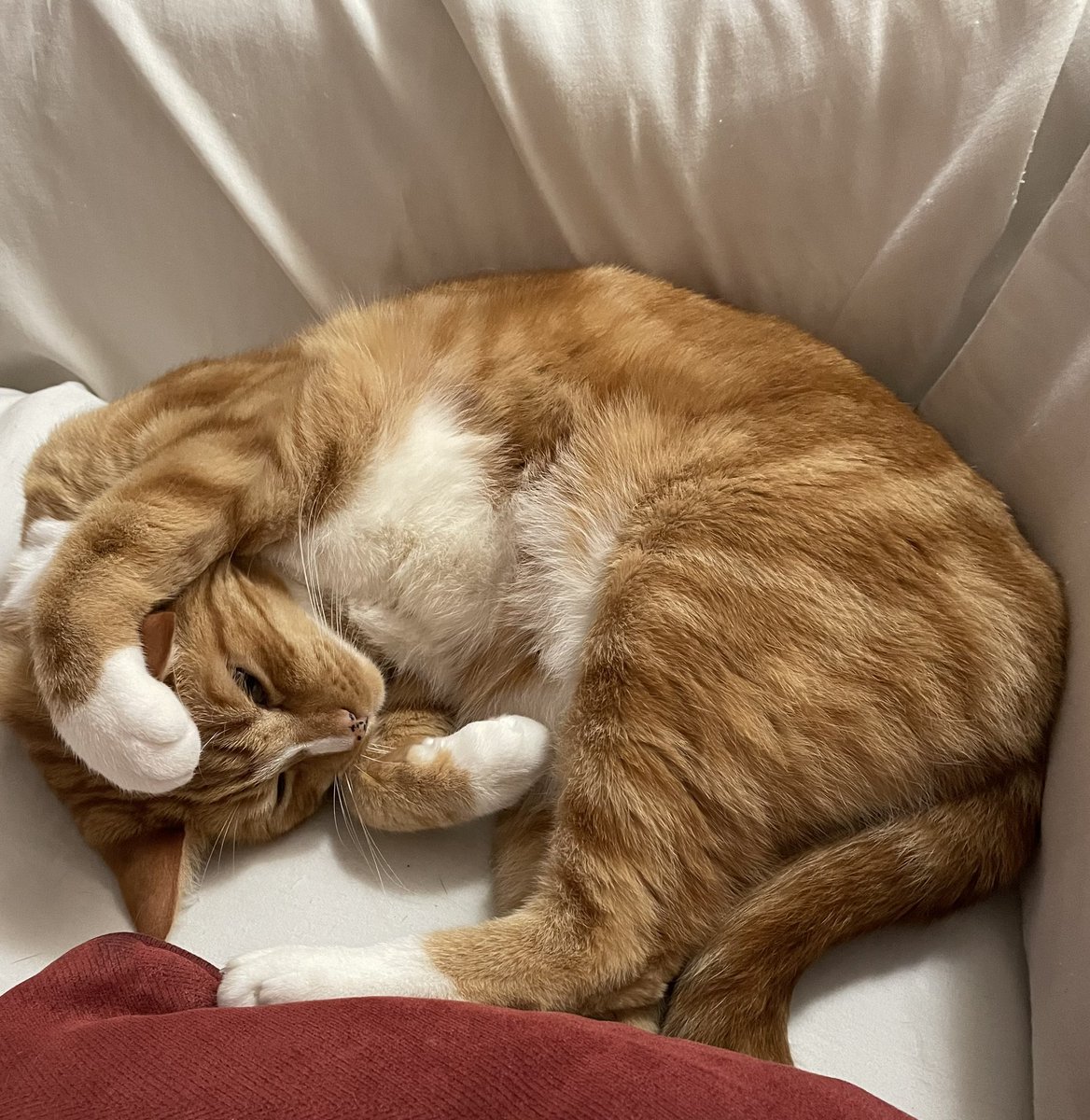 Jon Esparza tweet media