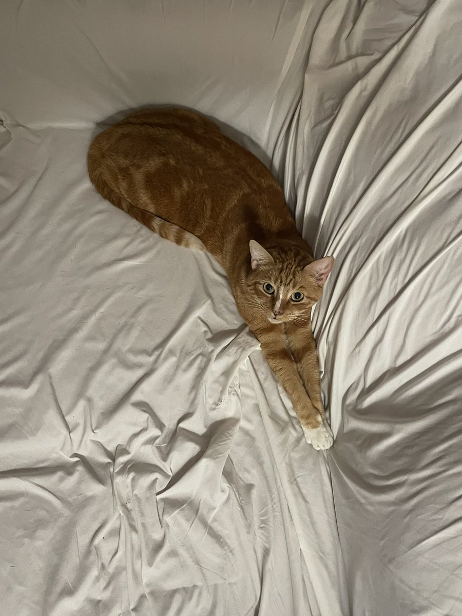 Jon Esparza tweet media