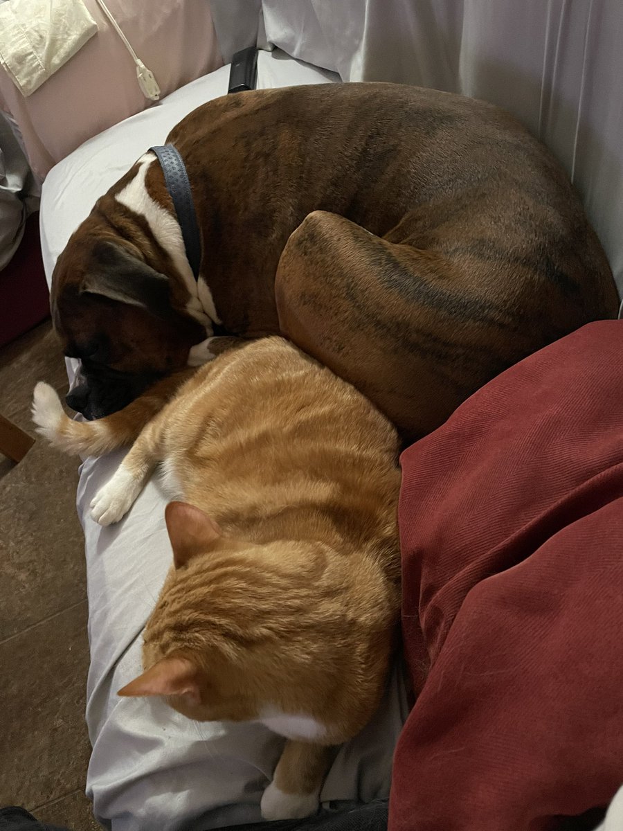 Jon Esparza tweet media