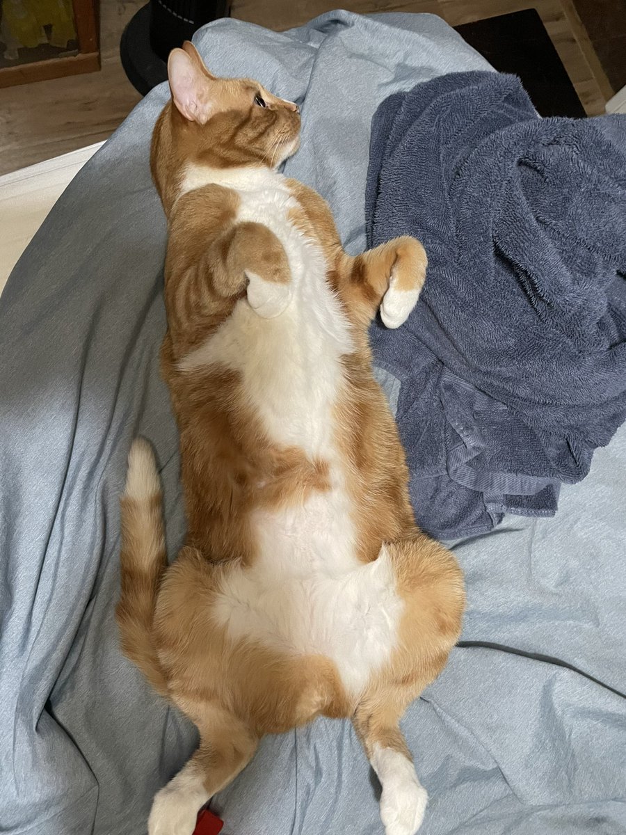 Jon Esparza tweet media