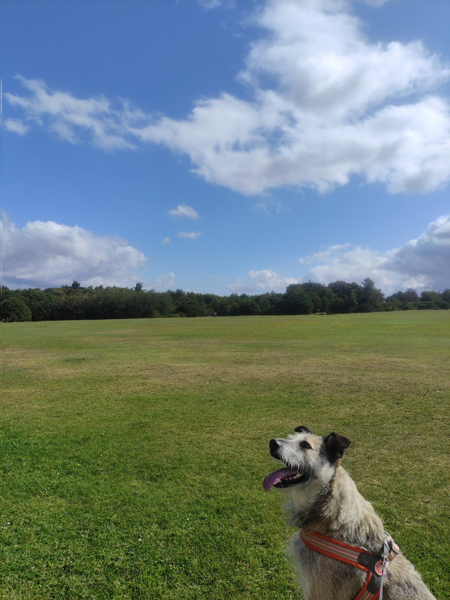 Watching up the hill