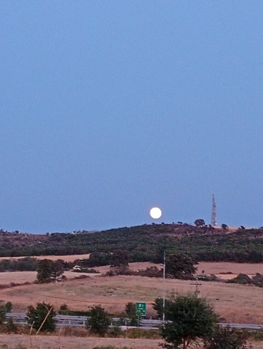 Wh0TheHeck's tweet image. ❤️ #AXD ❤️ #moon #skystar