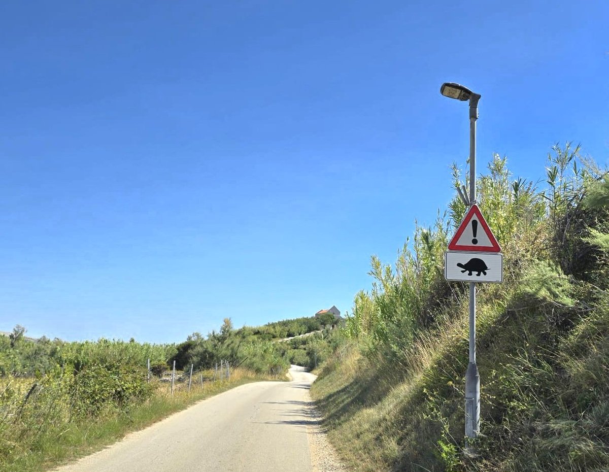 Slechts 34 graden vandaag, zelfs de Schildpadden lieten zich niet zien.