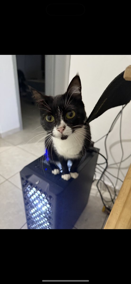 skrr🏴‍☠️ tweet media