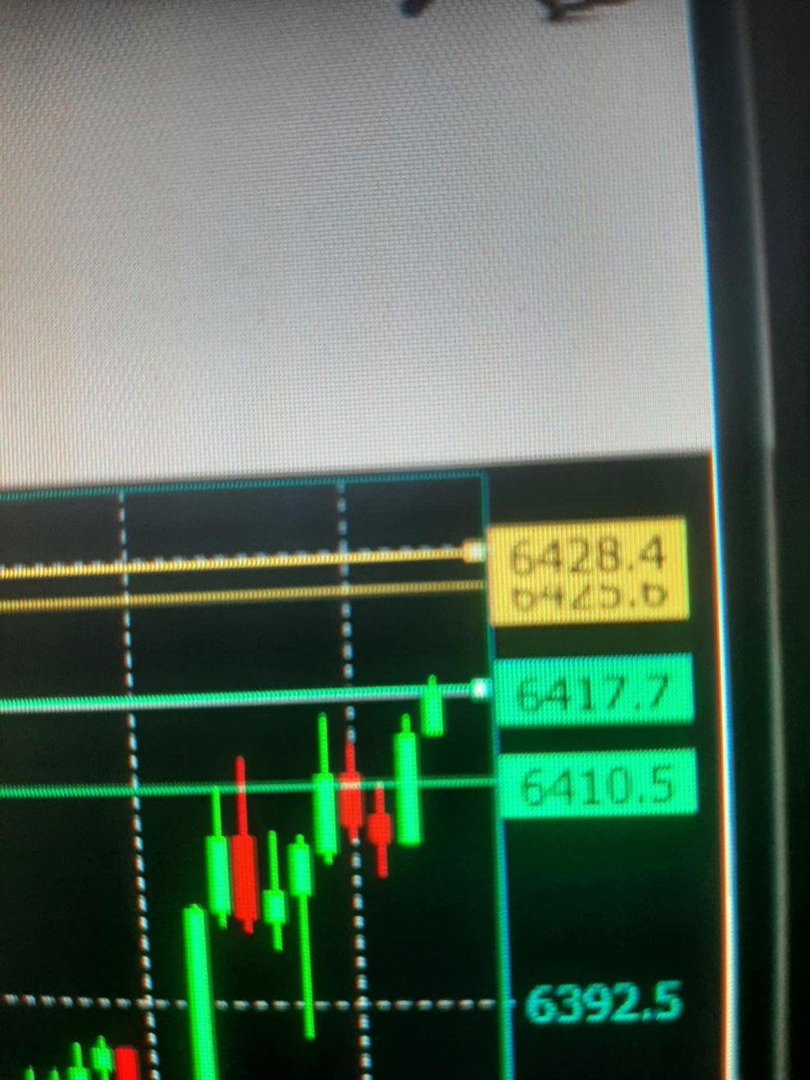 WRÓŻKA ZĘBUSZKA tweet media