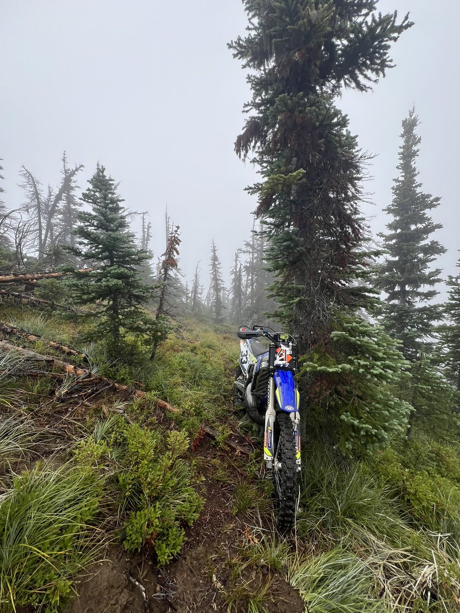 I missed all the Ripple 💩 news yesterday and that OK by me.