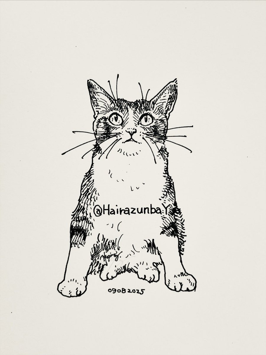 ひとんちの猫 