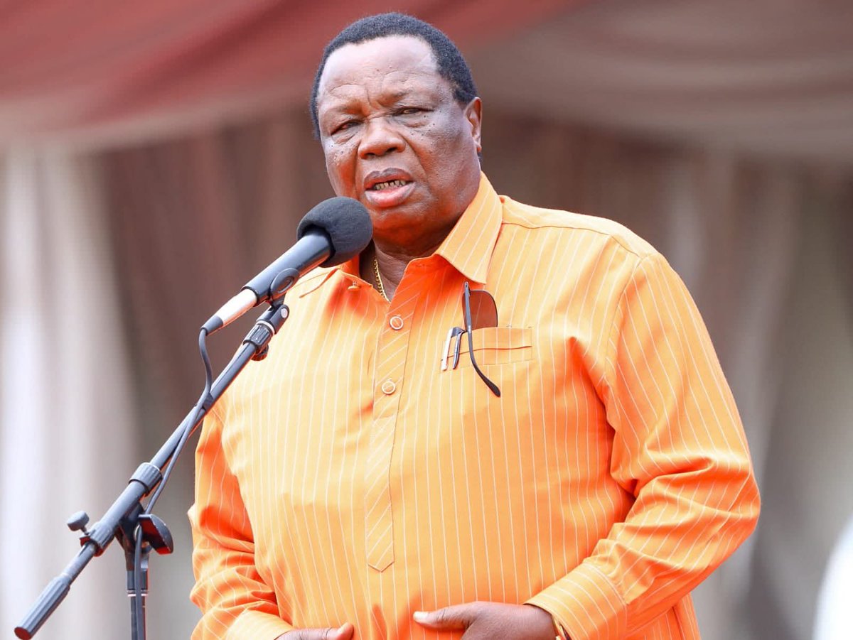 Someone tell Hanifa we are going nowhere. She can scream all she wants. I will attend her retirement party. Shenzi sana.
#Hanifa
<a href="/Honeyfarsafi/">Hanifa 🇵🇸 🇵🇸</a>