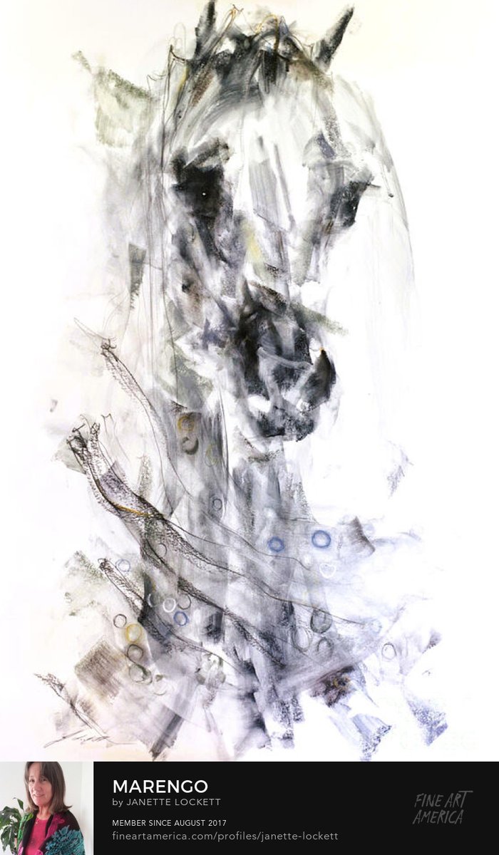 JanetteLockett's tweet photo. "Marengo" Art Equus; the latest original painting available by Janette Lockett, ASEA. Canvas prints also: https://t.co/YV7hE1R8O2 https://t.co/1I7l5QJFPD