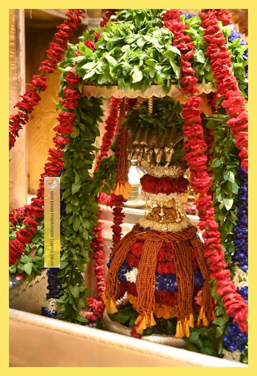 आज श्री काशी विश्वनाथ जी की  शयन आरती I
#kashivishwanath #kashi #sanatandharma #banaras