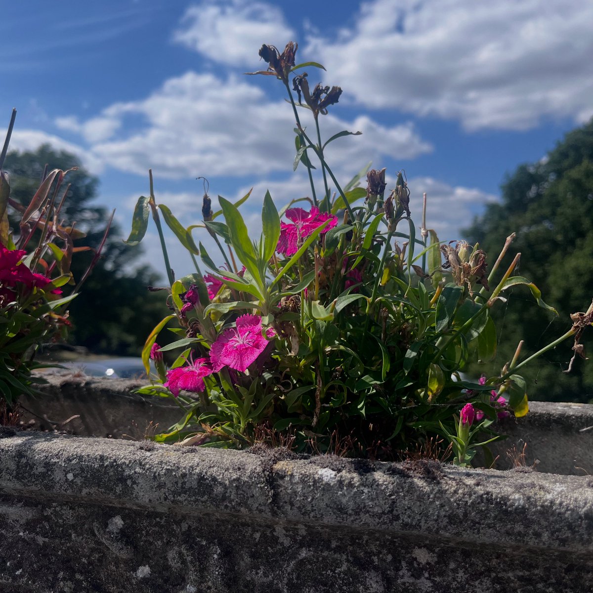 Pedicure, street art, driving the bus and lunch with a friend #4for40