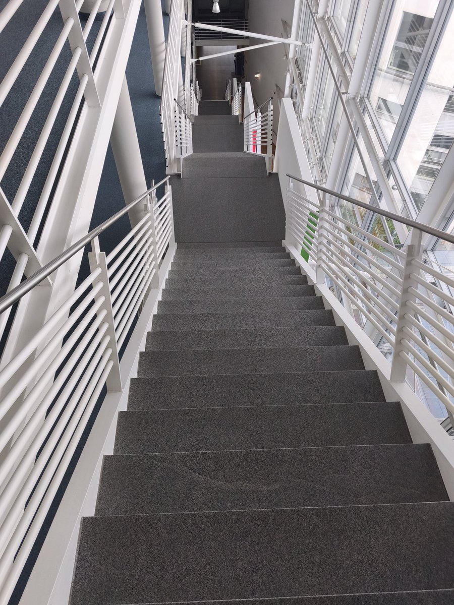 Deset dana vežbe za moj povređen skočni zglob... A i koleno... 🙄