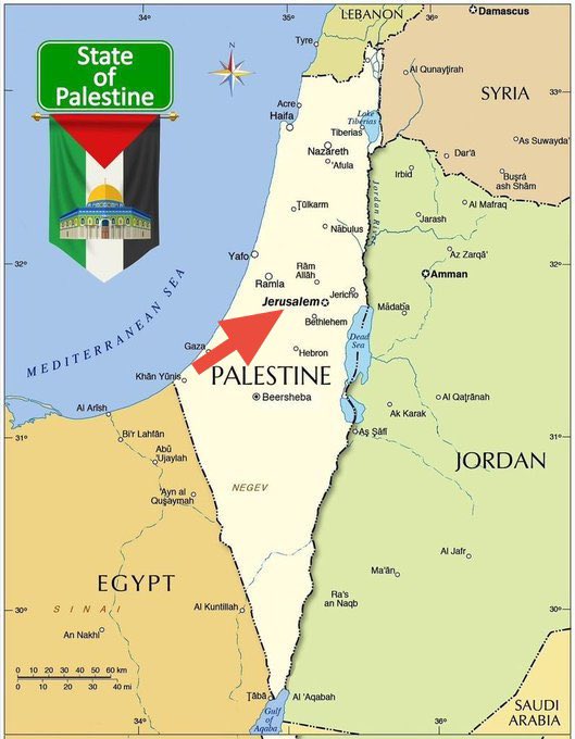 Netanyahu will Gaza auslöschen — für die zwei Millionen Menschen in Gaza bleibt nur noch eine einzige Chance, am Leben zu bleiben: alle gemeinsam zur gleichen Zeit friedlich nach Jerusalem zu marschieren‼️ #JerusalemDay