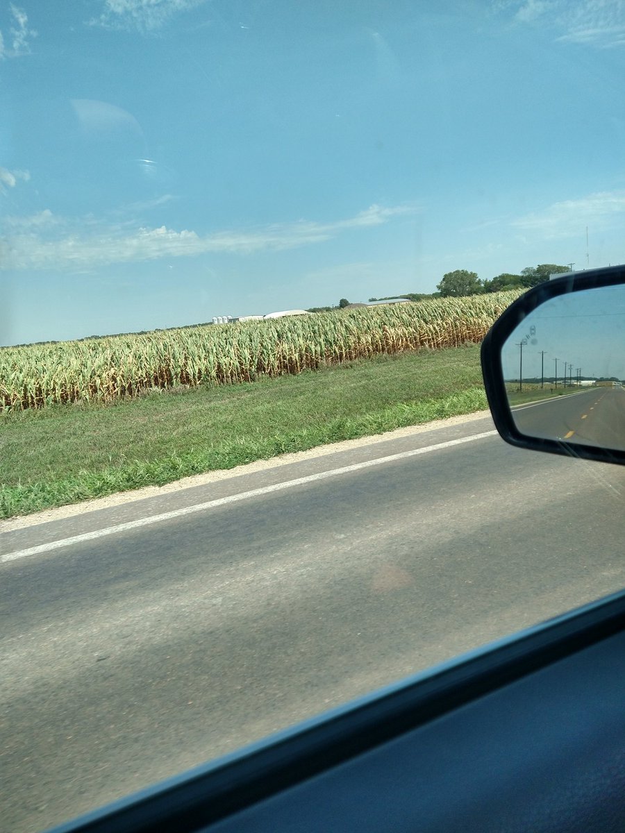 August starting to put the kybosh on the corn in NE Kansas.