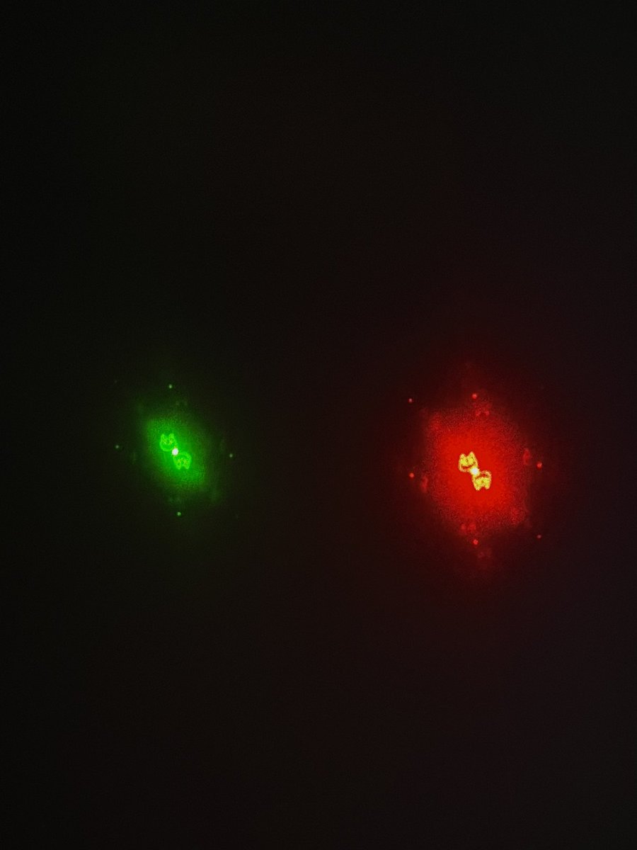opticaspierau's tweet photo. Happy International Cat Day! 🐱
Today we celebrate our favorite feline — the green and red OptiCats — keeping a sharp eye on the world of optics. 🔍✨
@epsyoungminds @OpticaWorldwide
#OptiCat #InternationalCatDay #RadiantMinds #YM #SPIE #Optica https://t.co/TPnT15nY2l