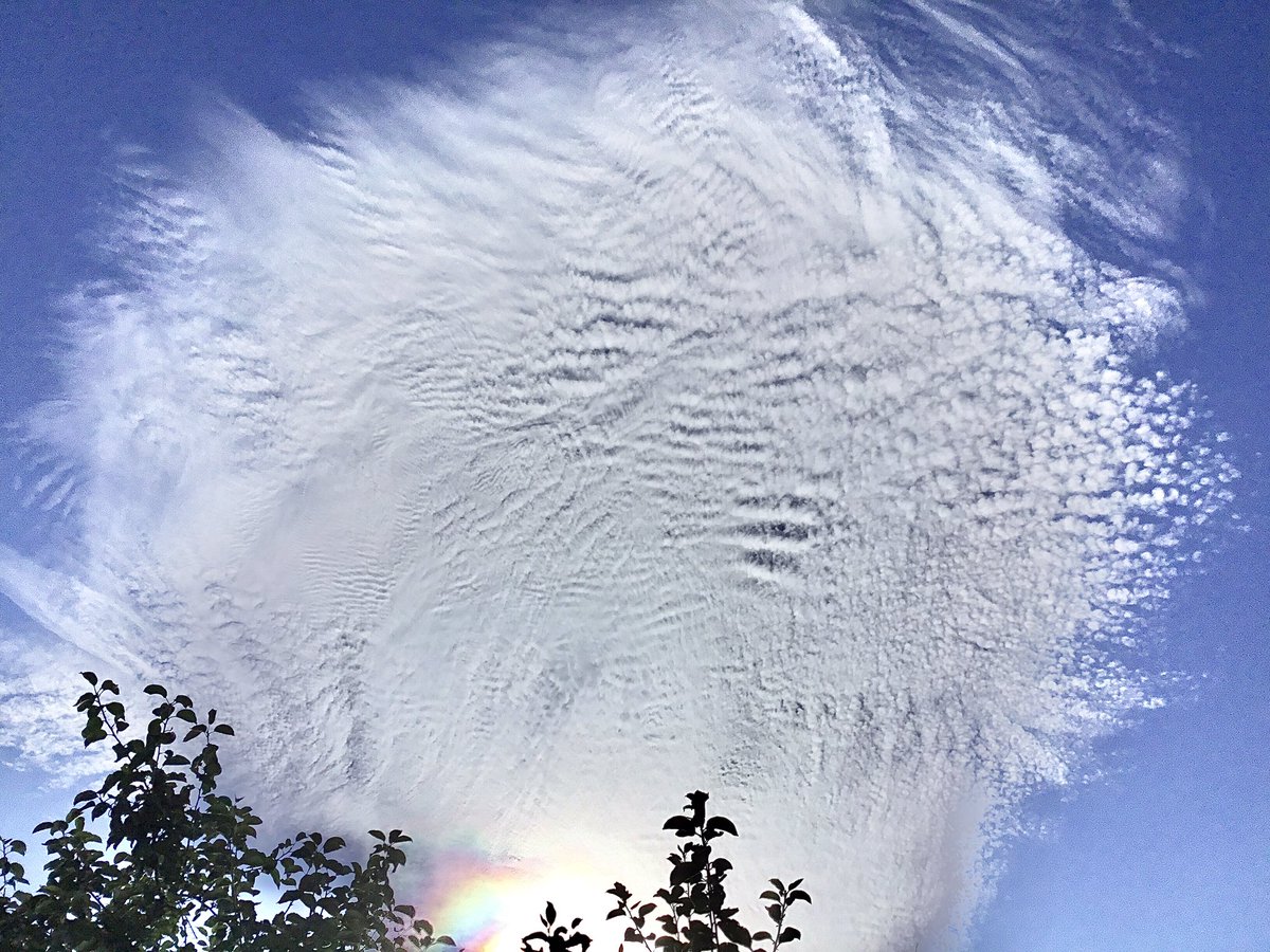 Très chic, die modischen Frequenzwolken am Münchner Himmel😍
Hat aber nichts mit Geoengineering zur Wettermanipulation zu tun!
Die WMO, die in den letzten Jahren sehr viele neue Wolken entdeckt hat, hat bestimmt schon einen Namen dafür und eine wissenschaftliche Erklärung dazu🤷‍♀️