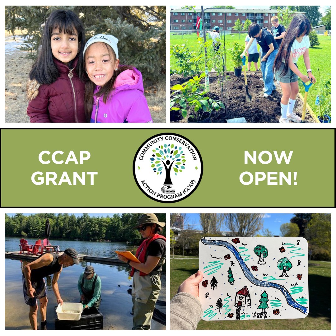 Wildlife Habitat Canada (@wildlifehcanada) on Twitter photo 🌿 CCAP 2026–2027 Applications Now Open!
Grants up to $10,000 for local/regional projects that:
✅ Connect people with nature
✅ Engage youth
✅ Offer conservation education
🔗 whc.org/grants/ccap
#CCAP #ConservationGrants #YouthInNature 🌿 CCAP 2026–2027 Applications Now Open!
Grants up to $10,000 for local/regional projects that:
✅ Connect people with nature
✅ Engage youth
✅ Offer conservation education
🔗 whc.org/grants/ccap
#CCAP #ConservationGrants #YouthInNature