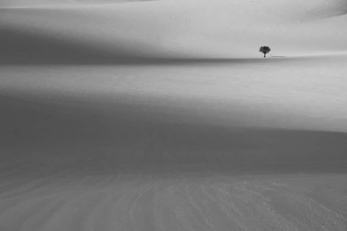 Gn!

"Lights and shadows"
  10 #tezos

#Photography
Link:
objkt.com/tokens/hicetnu…