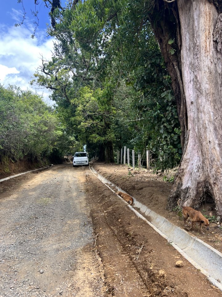 "Shhh!!! I already told you, Álvaro, don't make any noise…
Bollito is sleeping in the ditch, and if he wakes up… he'll get angry… I better go…"

-Chiclera

#LifeAtLandOfTheStrays