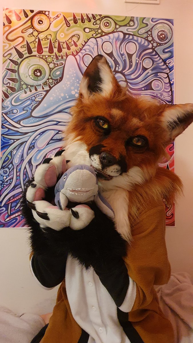 crowpudding's tweet image. Henlo. new fox on the internet, here for my first #FursuitFriday