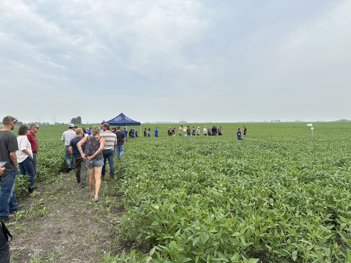 Fantastic week of field tours! Heritage Coop pea trials near Chater, PCDF in Roblin chatted about lupins, 4R Nutrient Management Day at SMART farm at Grosse Isle, and Prairie Giants soybean plots at Angusville.
