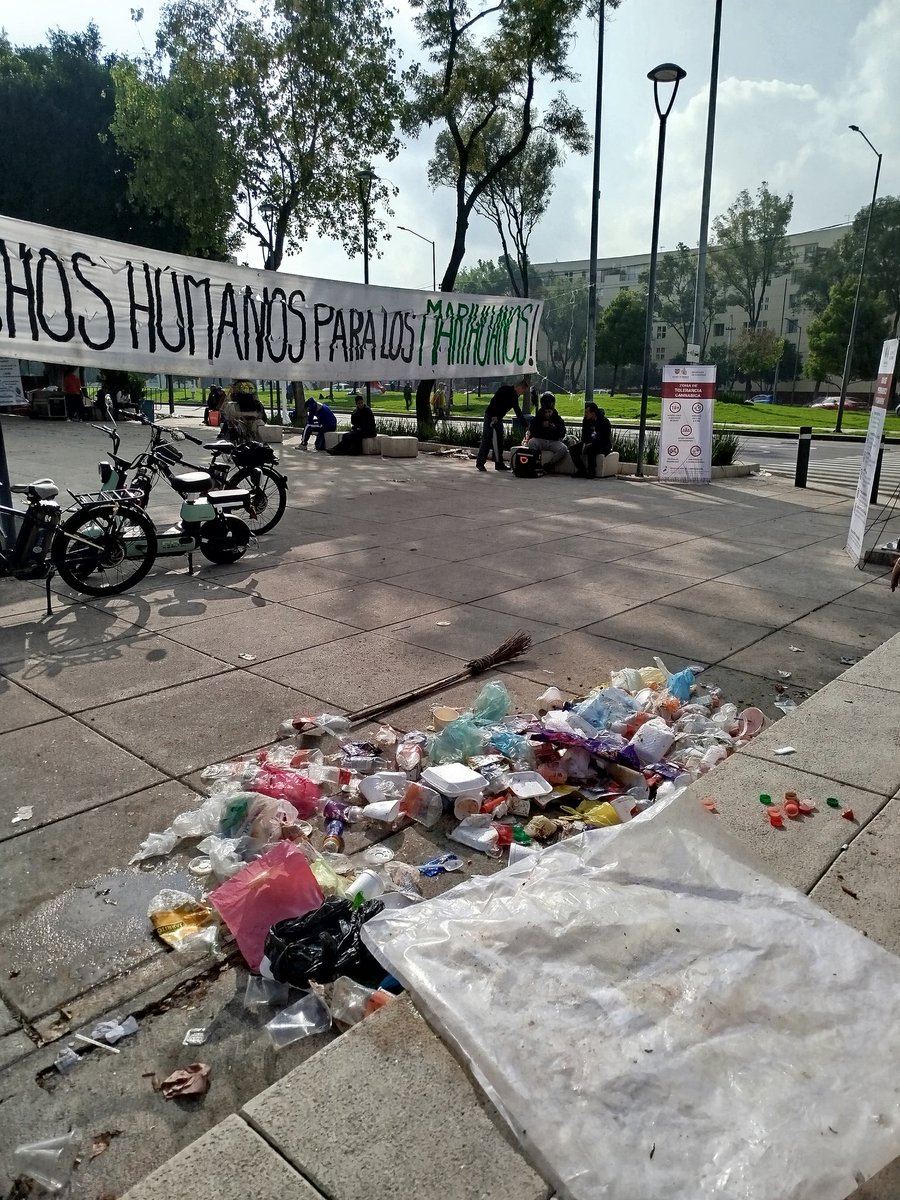 fabianavat's tweet photo. @ClaraBrugadaM Es una pésima idea la de enviarnos a los Marihuanos a la glorieta de Violeta-Reforma, por ahí pasan nuestros niños y adolescentes a sus muchas escuelas que están en la zona, no tienen porque aspirar la droga y ver el mal ejemplo👇🏼Exigimos los reubiquen! https://t.co/x6dKNv5Hdj