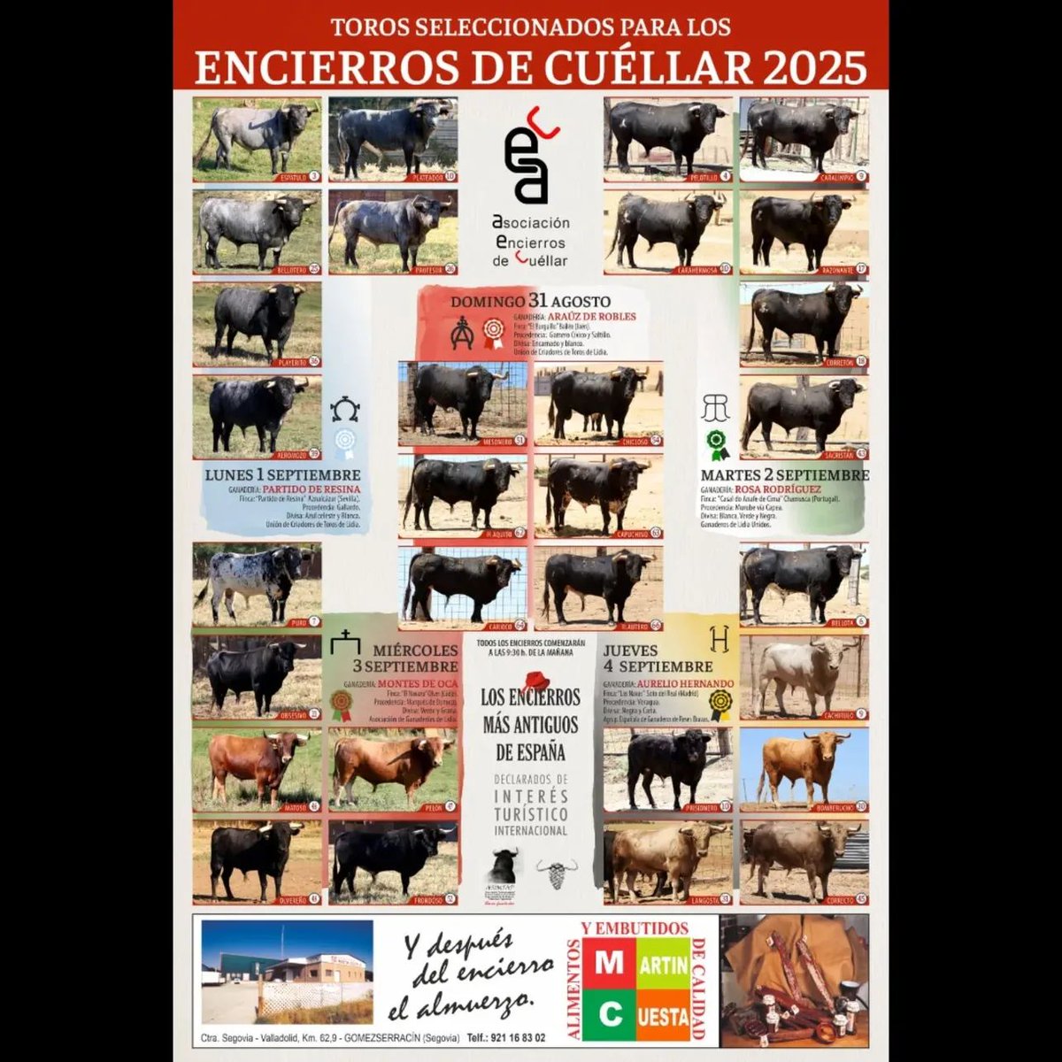 Reses que correrán por las calles de Cuéllar.
#APorEllos2025