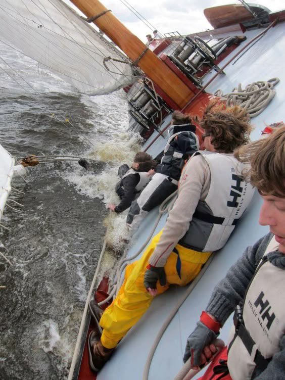 wolfgang amadeus mozart tweet media