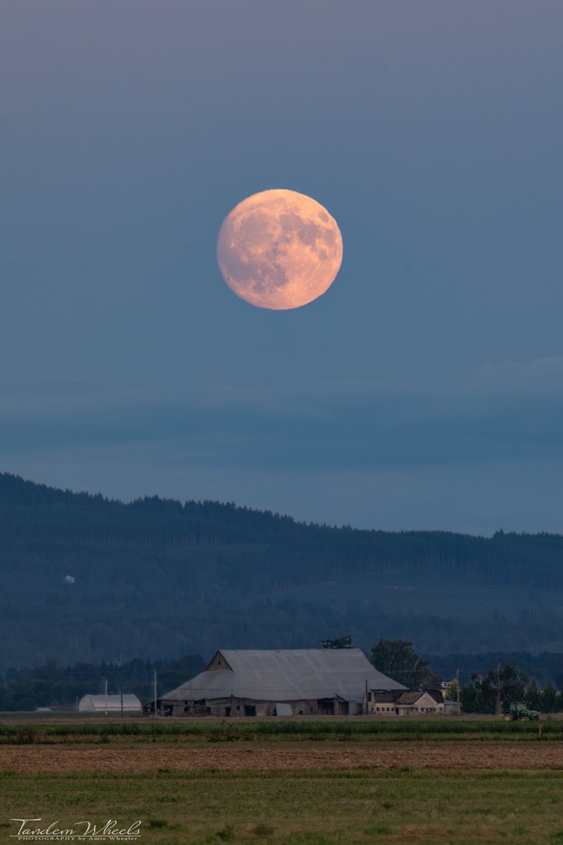 The Sturgeon Moon shone at 98% fullness last night! It’s been an exciting summer, keeping us on our toes. We’re thrilled we could step out and experience its beauty together. 

#pnw #sonorthwest #pnw #fullmoon #moonrise