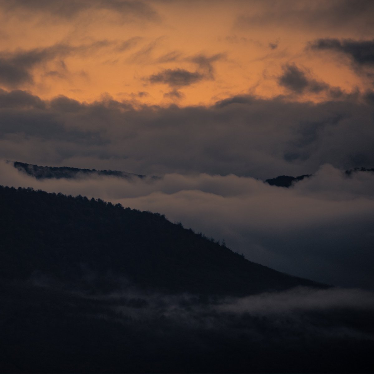 از کارهای قدیمی. اون موقع که جرات میکردم وسط کوه و کمر دوربین رو بندازم رو کولم.