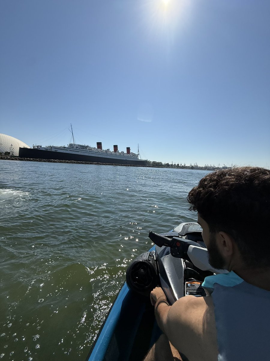 elevated tweet media