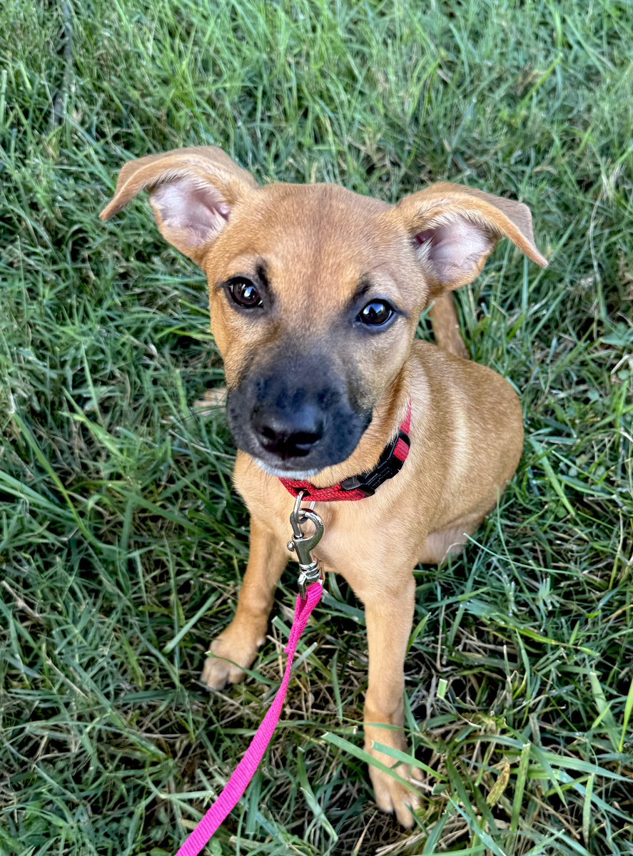 Addie has those Friday feels.