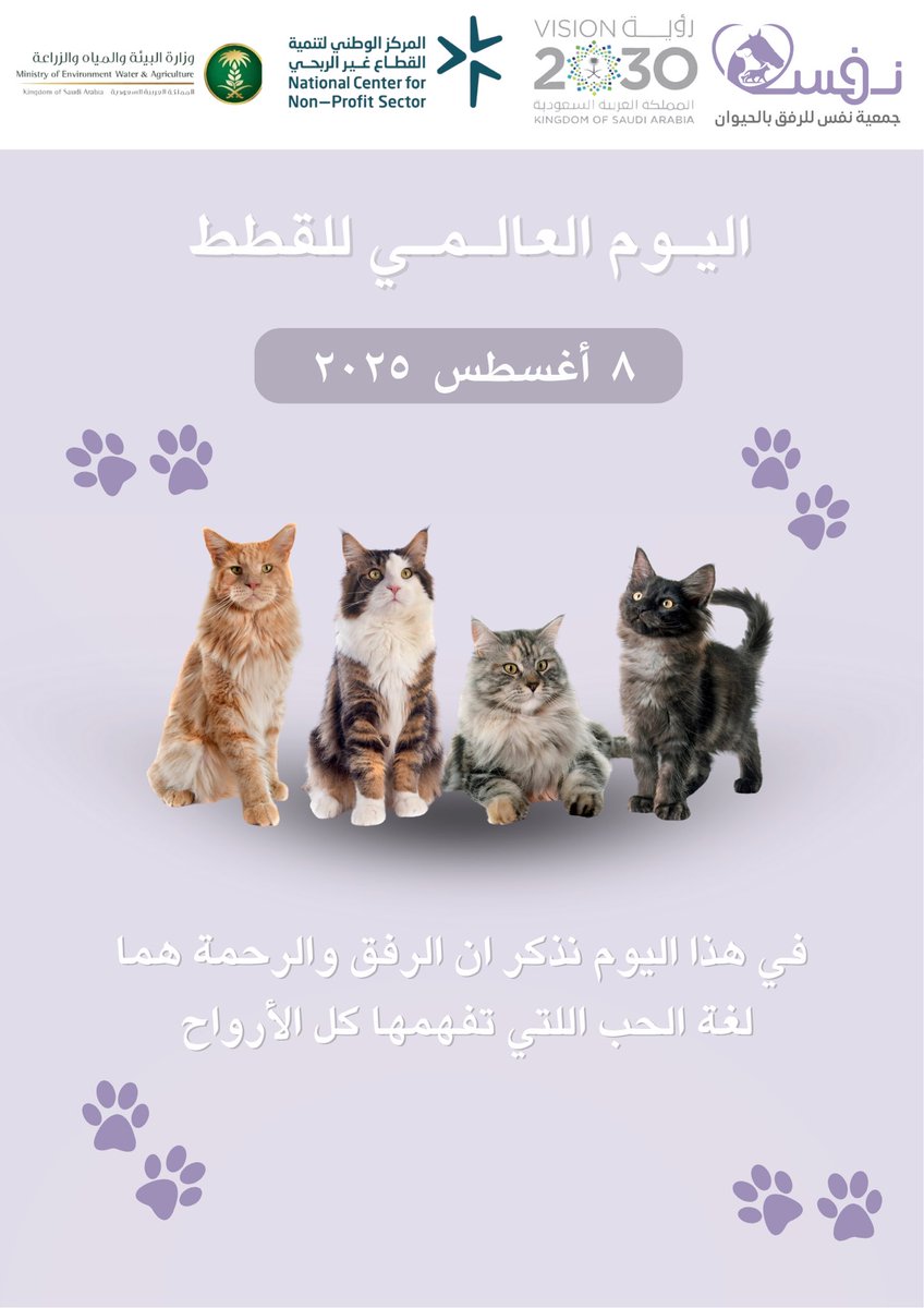 في #اليوم_العالمي_للقطط 💜

القطط ما تطلب الكثير .. بس تحتاج حضن دافي، قلب طيب، وزاوية أمان تشبهها.
كن هذا الأمان اليوم وكل يوم 💜

#InternationalCatsDay