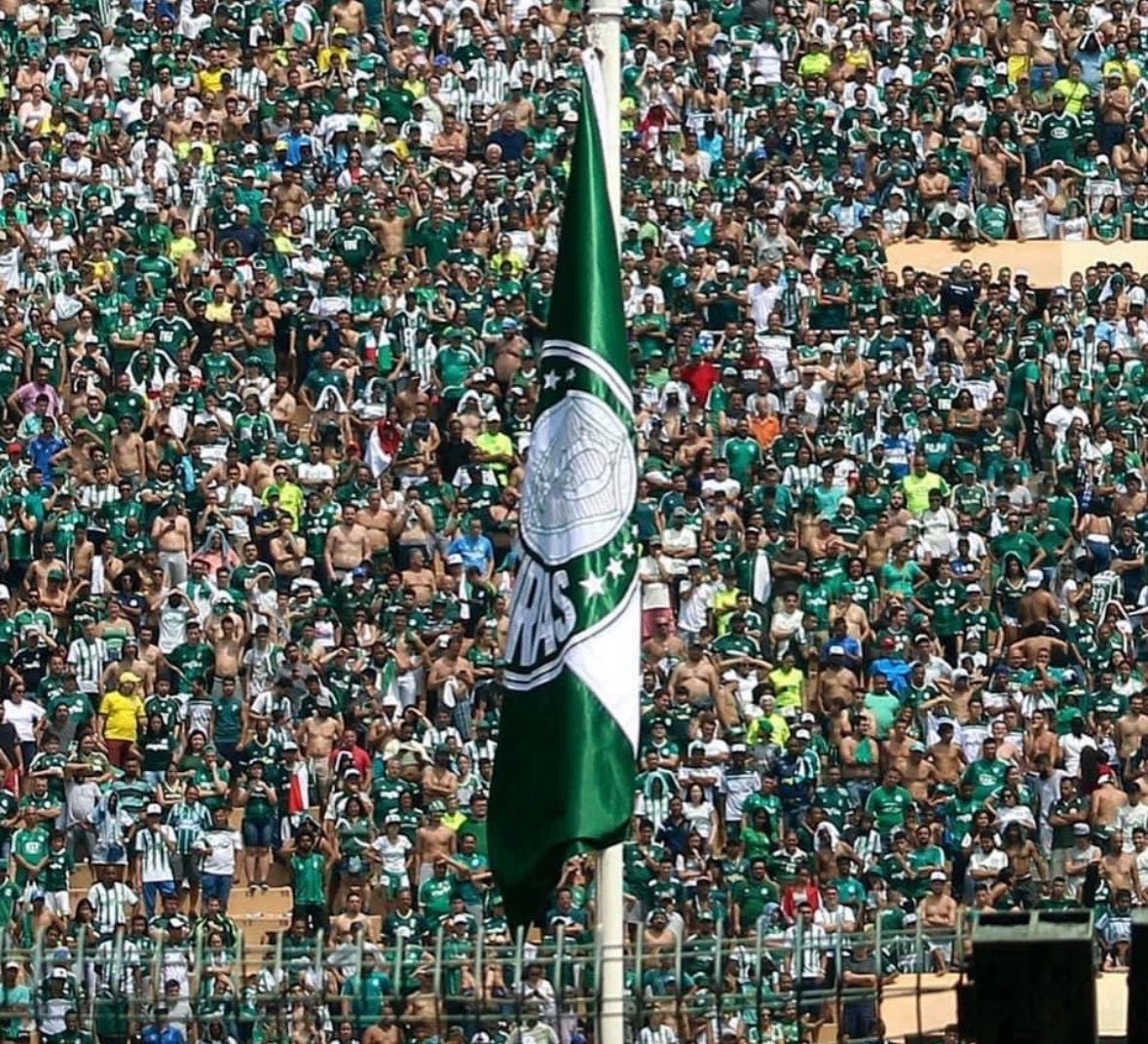 palmeirasHQ's tweet photo. Mal sabe o Corinthians o bem que nos fez em nos eliminar em nossa casa, mudanças serão feitas, olhos serão abertos e com certeza voltaremos a trilhar o caminho dos Títulos! 

Teoria do caos? Não! Pelo contrário!

A Sociedade Esportiva Palmeiras tomará vergonha na cara! https://t.co/VPlISXt9s5