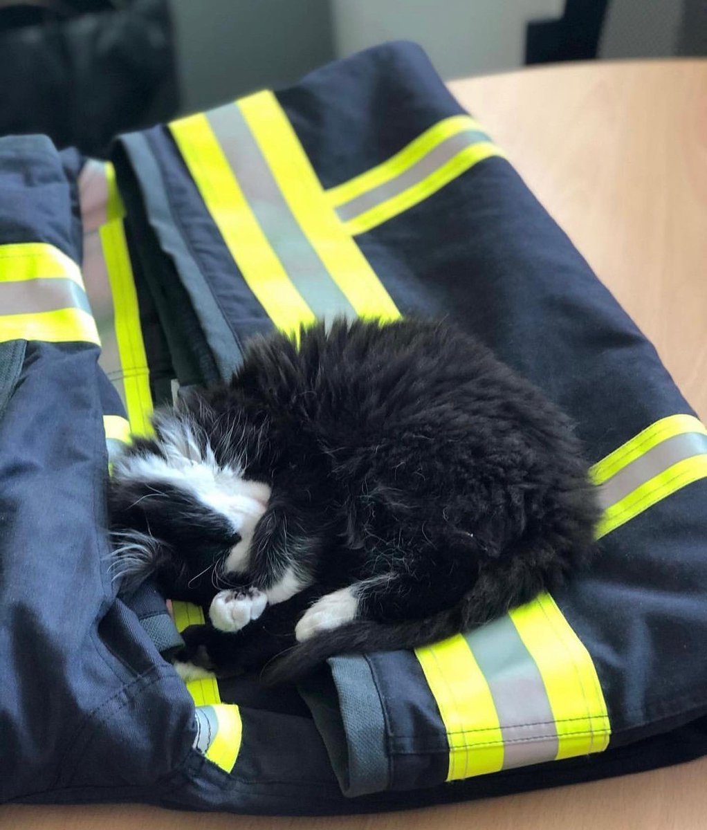 Sapeurs-pompiers de la Marne tweet media