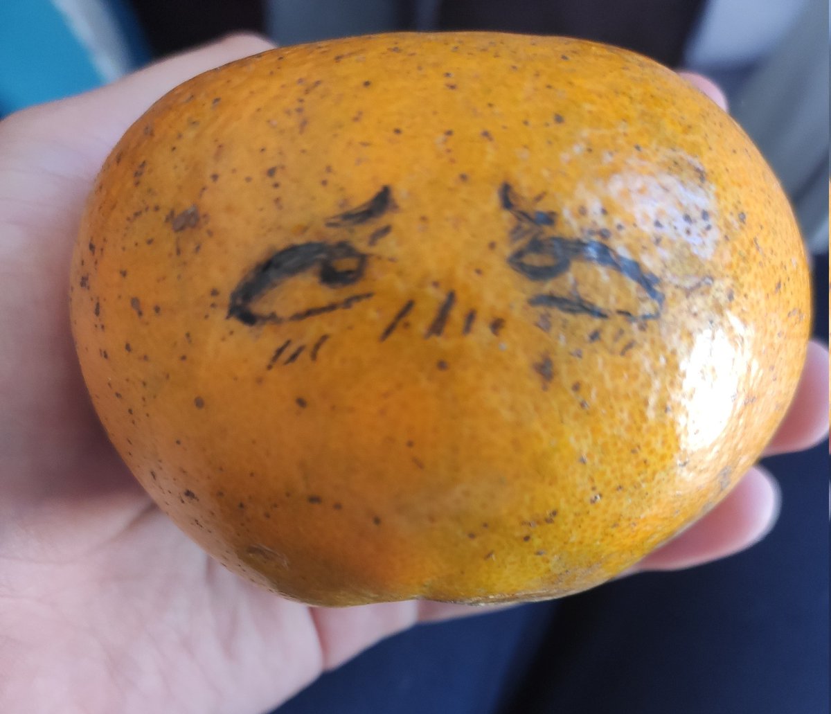 MarhRepollo's tweet image. Algo ramdon pa revivir